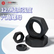 <b>汽车零部件专用螺丝螺母</b>